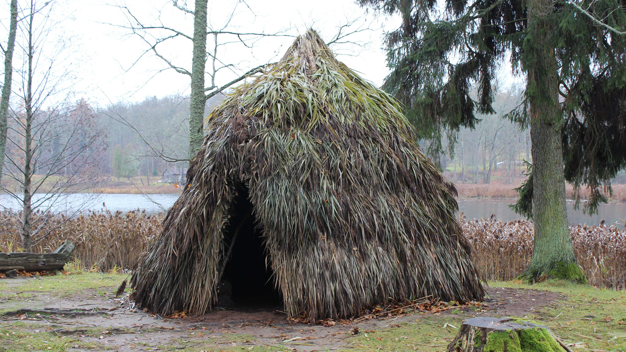 Mesolithic Hut (2023)