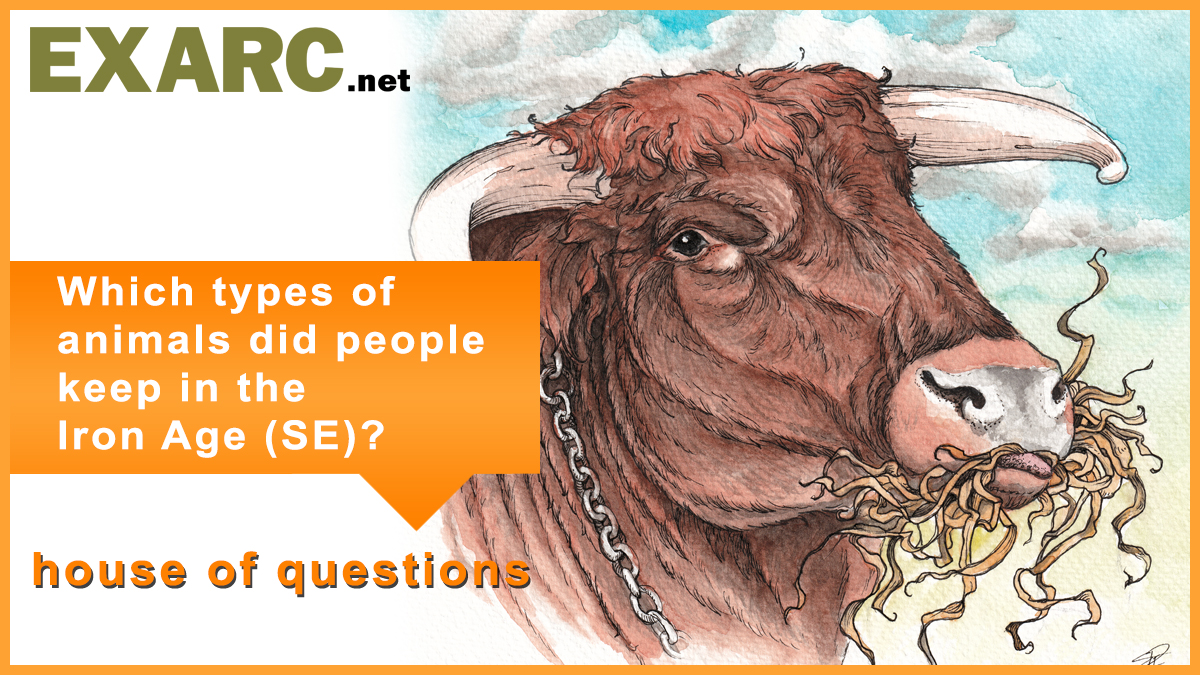 Which types of animals did people keep in the Iron Age (SE)?