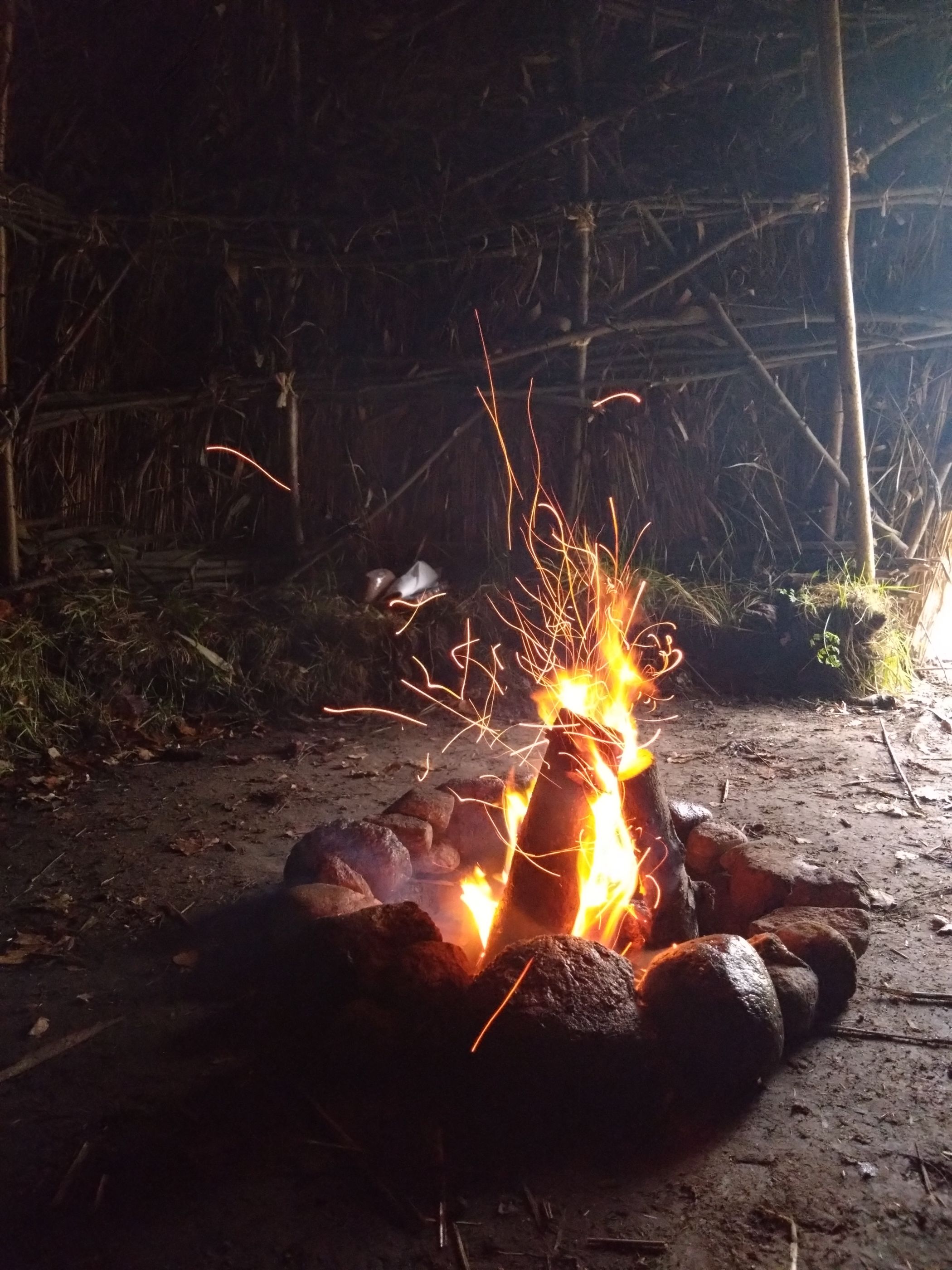 Fireplace Mesolithic Hut (2023)