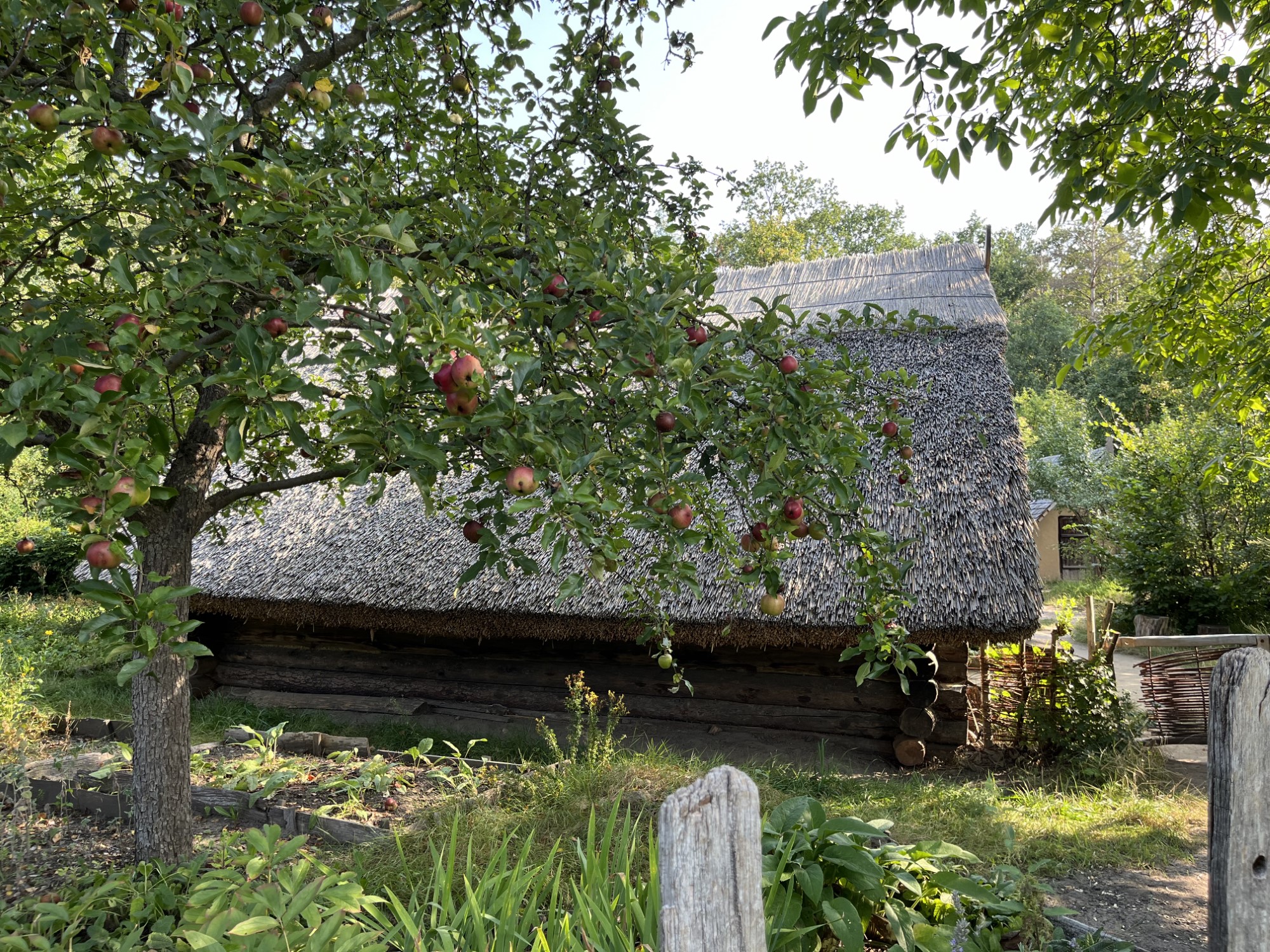 Building 15 at Museumsdorf Düppel (DE)