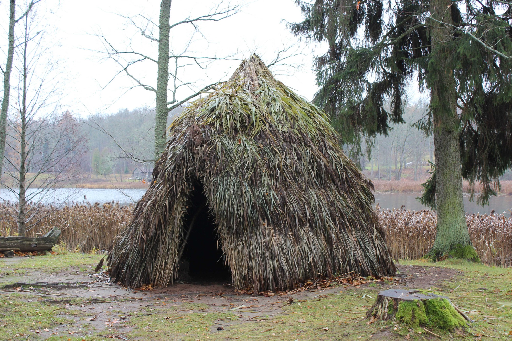 Mesolithic Hut 2024, Araisi Archaeological Park 2