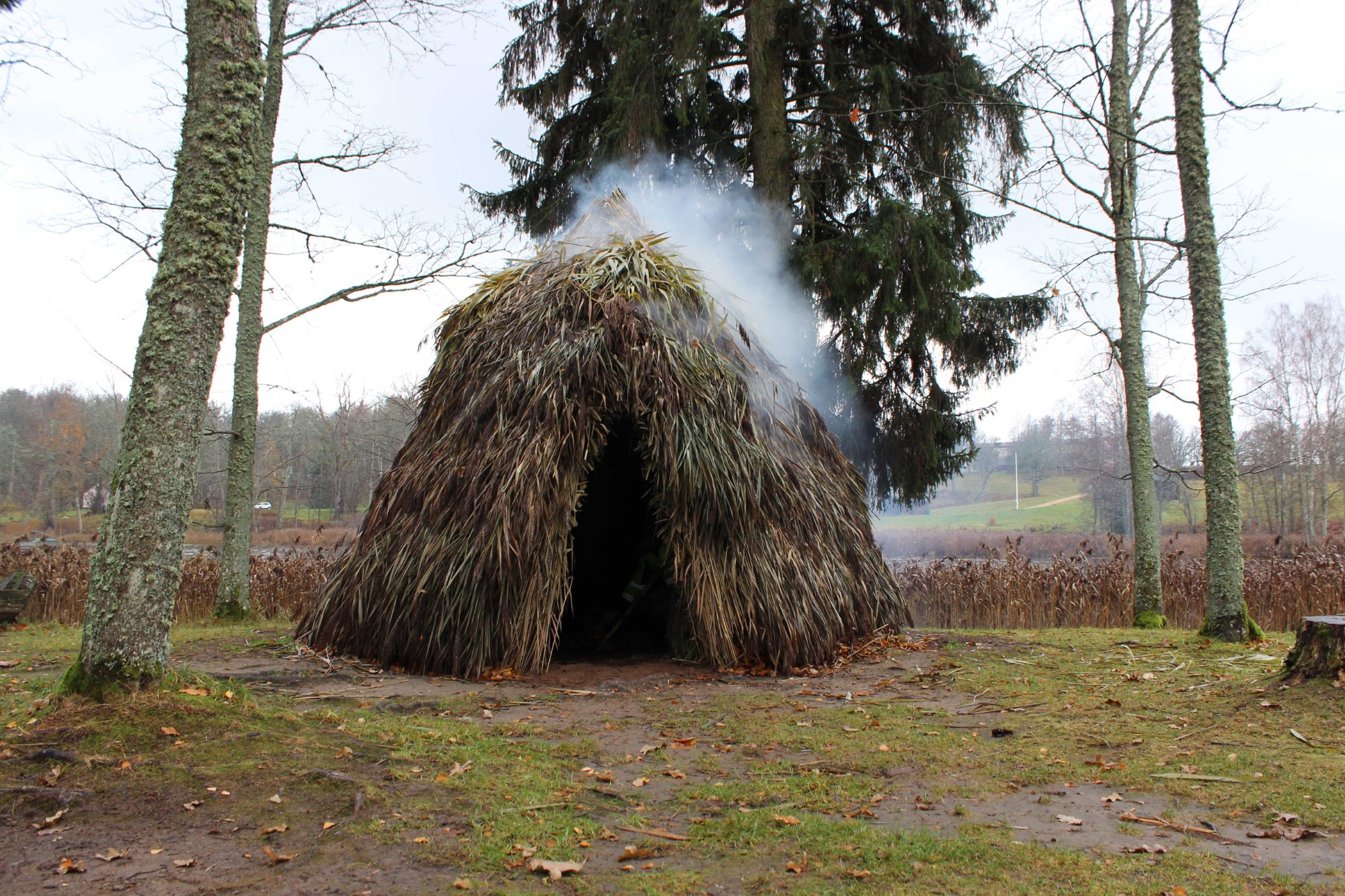 Mesolithic Hut 2024, Araisi Archaeological Park 4