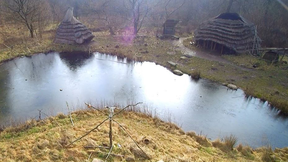 Mesolithic Hut 1