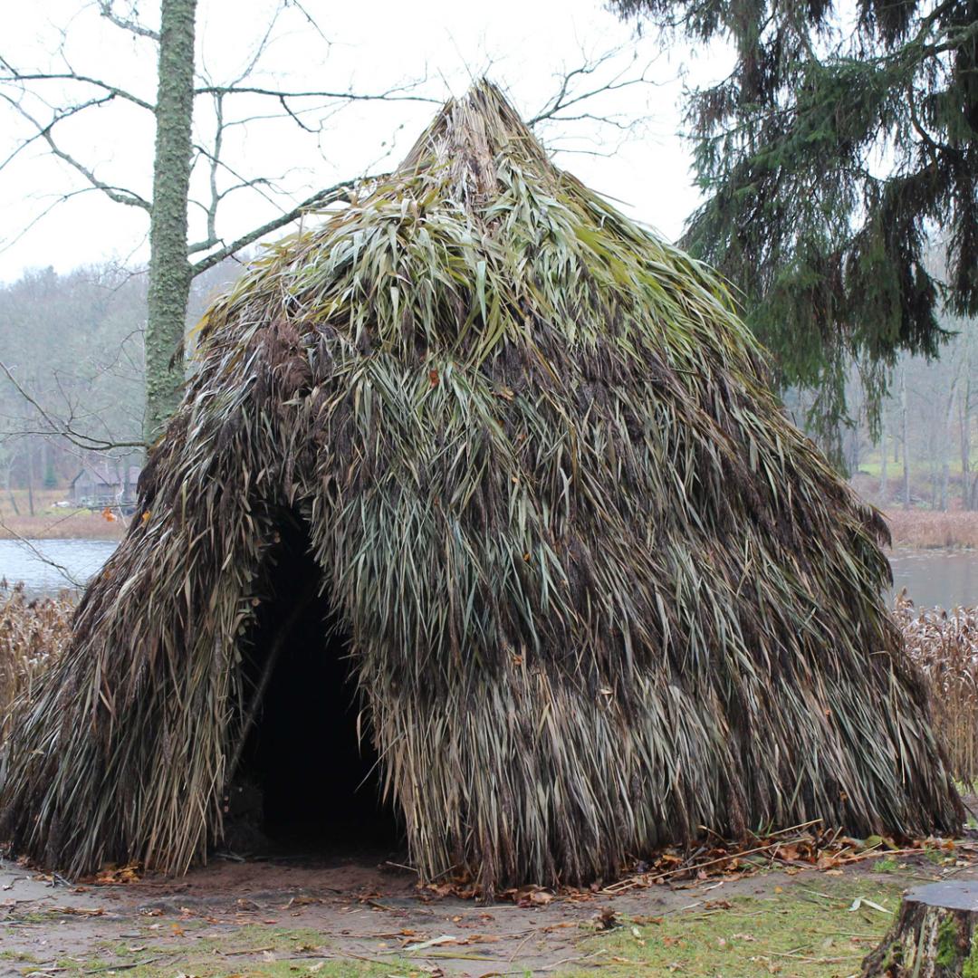 Mesolithic Hut (2023)