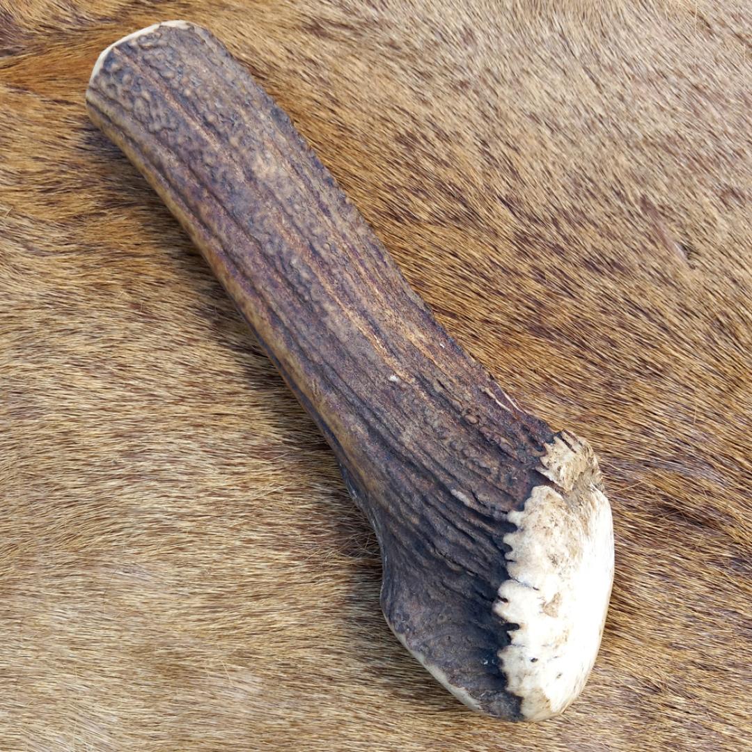 Antler hammer