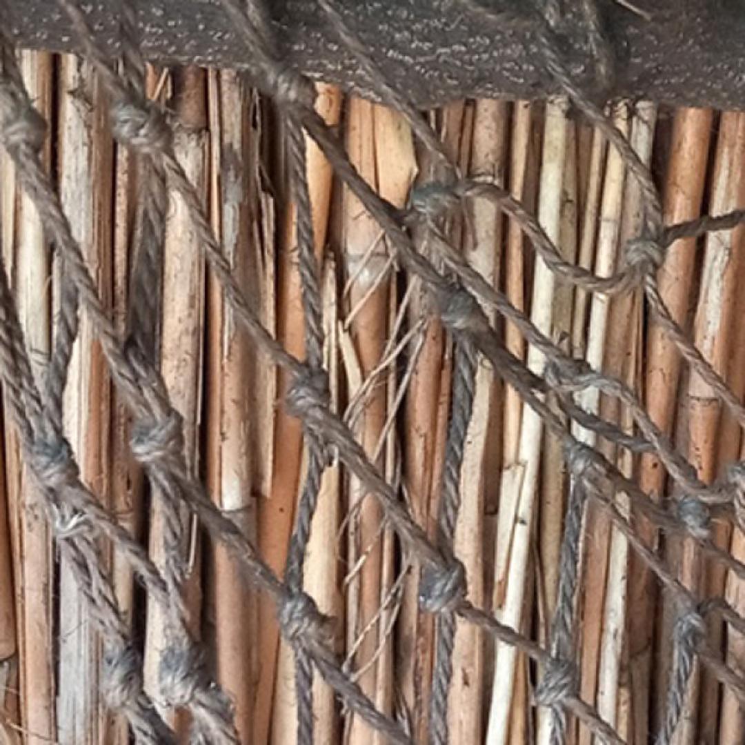 Thread (branches of a willow tree)